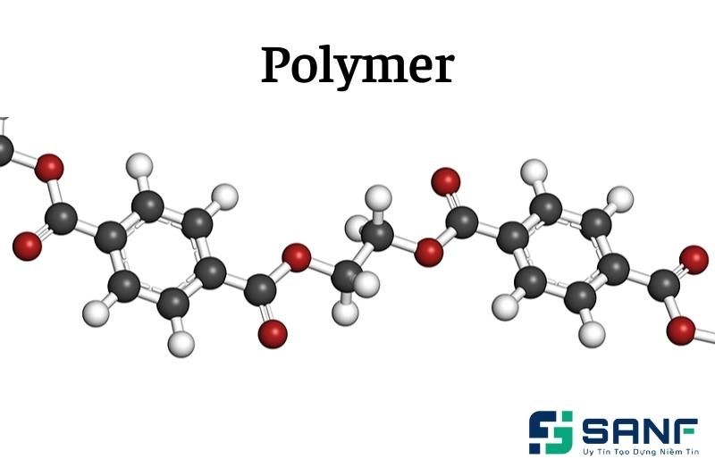polime là gì