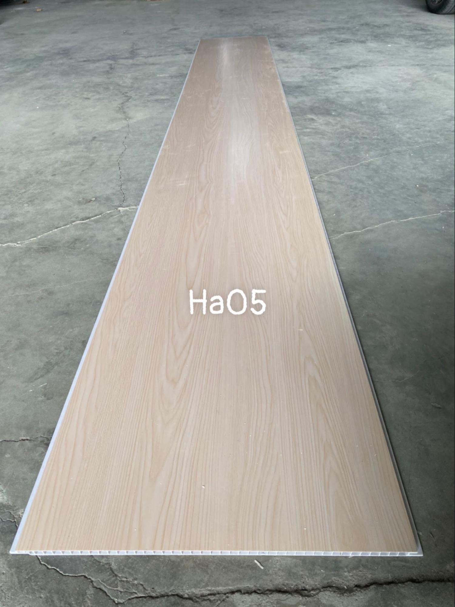 tấm nhựa nano vân gỗ ha05