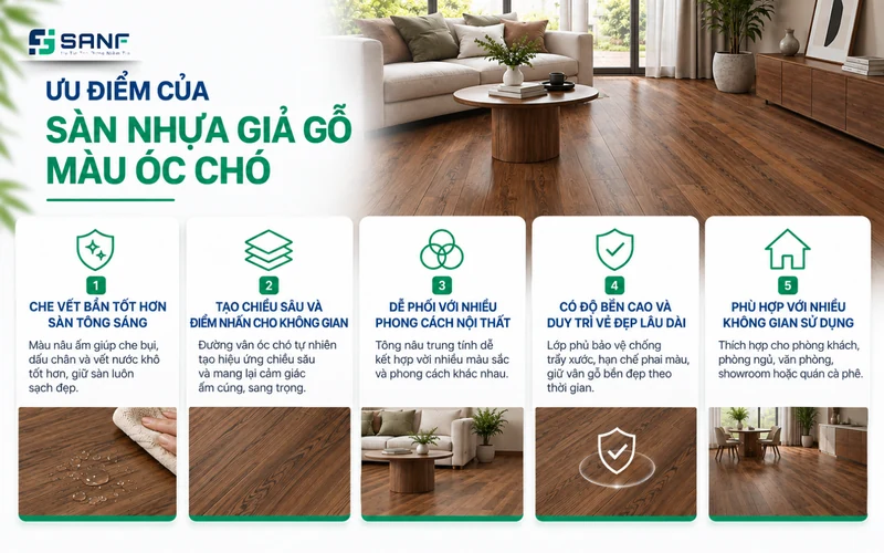 Infographic 5 ưu điểm của sàn nhựa giả gỗ màu óc chó từ che vết bẩn đến phù hợp nhiều không gian